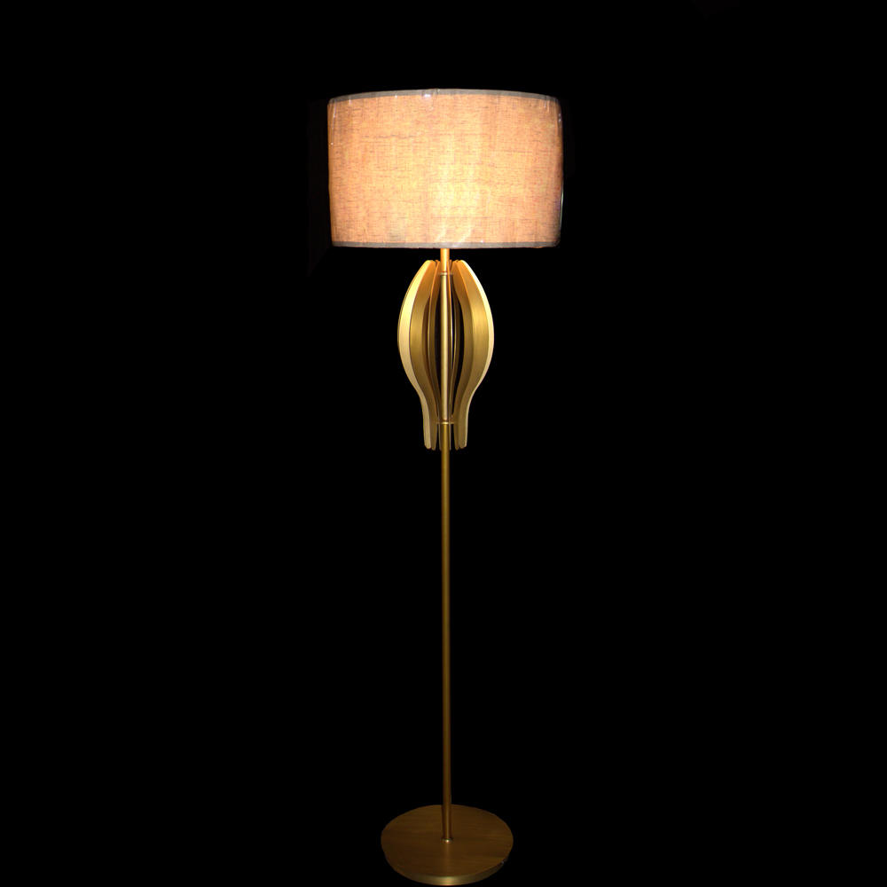 Modern Floor Lamp (D480 H1750-2)
