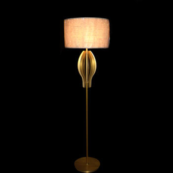 Modern Floor Lamp (D480 H1750-2)