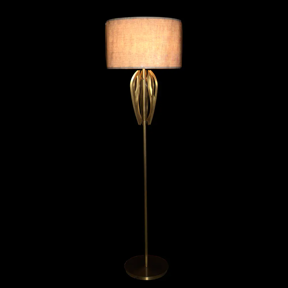 Concise Design Floor Lamp (D480 H1750-1)